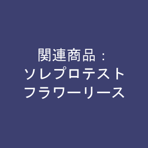 関連商品：ソレプロテスト、フラワーリース